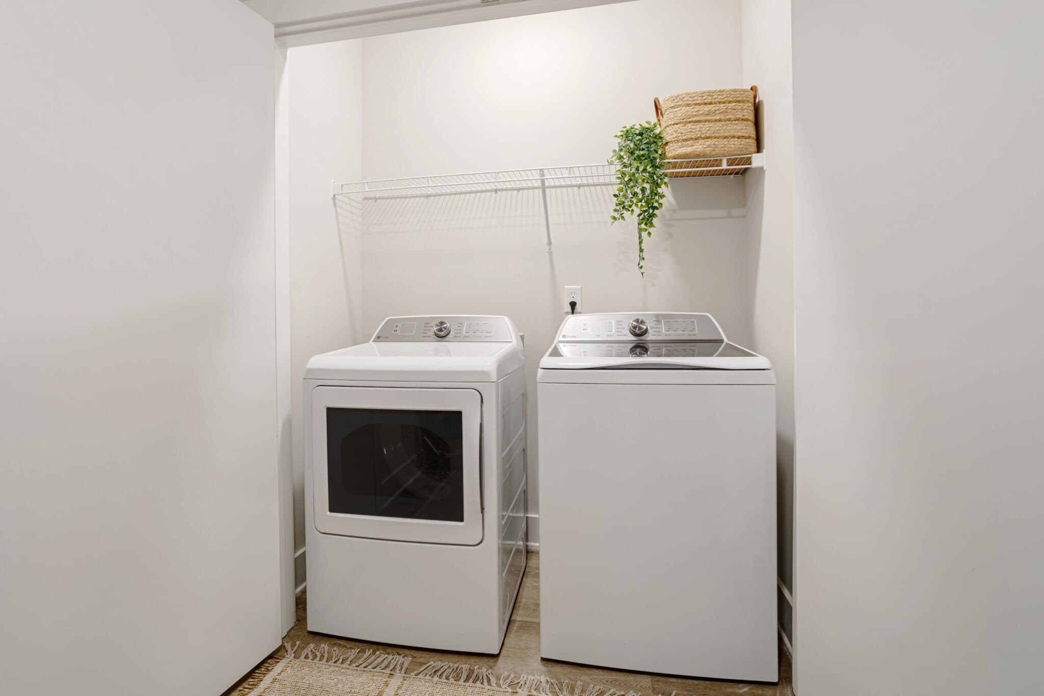 Gallery image 12