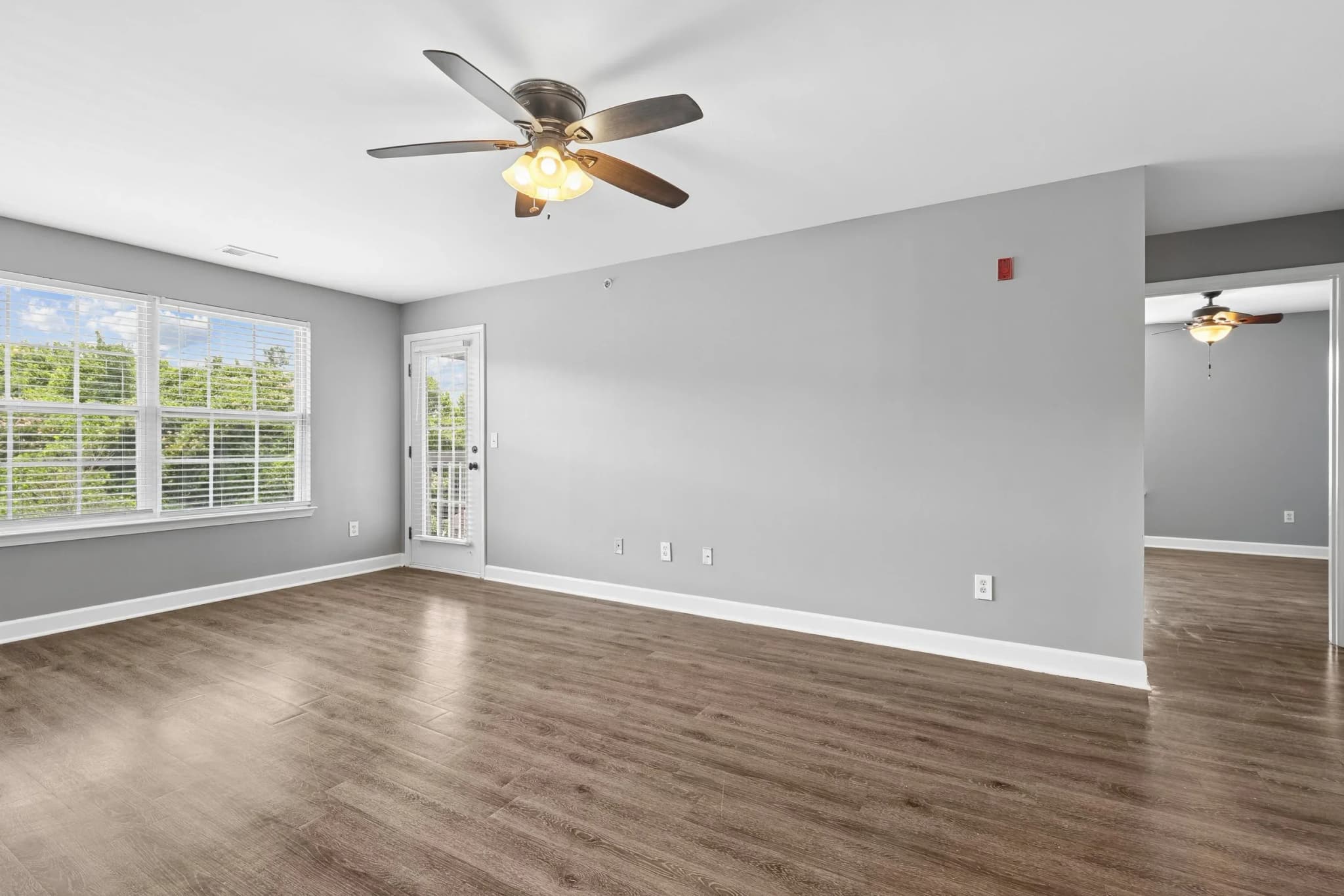 Royce Hill Apartments photo 3